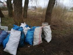 zbieranie śmieci i sprzątanie terenów zielonych dzikich wysypisk